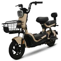 Moto Elétrica Tailg JK30 500W 32KM/H - Autonomia 50KM No Paraguai