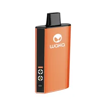 Waka Ka 25K Air Peach Mango Watermelon