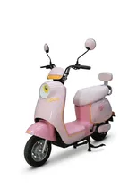 Moto Eletrica Tailg GR52 Love Pink 1000W 48V20A