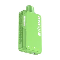 Nikbar 10K Miami Mint