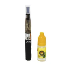 Ebuzz e-CE42 Mirtilo e Menta Zero Cigarro Líquido