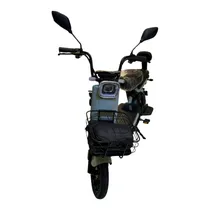 Moto Eletrica Tailg JK30 500W Verde 48V12AH