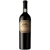 Vino El Enemigo Bonarda Tinto 750ML
