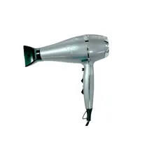 Secador Ghis Hair Style GH-2018 9000W Prata 110V