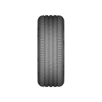 Pneu 225 50R17 DS2 98W Delinte