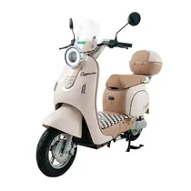 Smart Wheel Moto Cappuccino Gold 1000W 48V/20AH | Scooter Elétrica No Paraguai