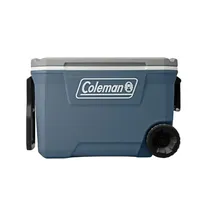 Conservadora Coleman 2179152 62QT