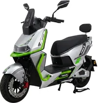 Moto Elétrica Tailg T73 72V/35AH 1000W 32KM/H - Gray/Green