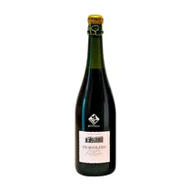 Vino Frizzante Bottega Fragolino Rosso 750ML