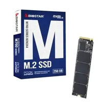 SSD M.2 2280 Biostar M760 256GB Nvme PCI-Exp GEN3 X4