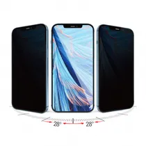 Wiwu Prot Magnetic Iprivacy 12,9 Trans