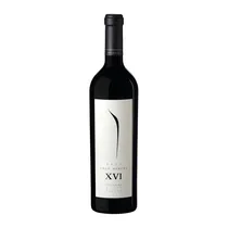 Pulenta Gran Xvi Merlot 750ML