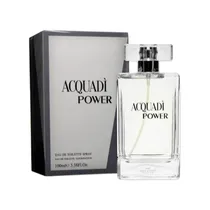 Perfume Masculino Acquadi Power Edt 100ML