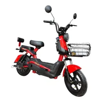 Moto Eléctrica Ferox 500W