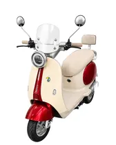Moto Eléctrica Blulory Milan 1.000W