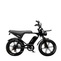 Bike Blulory V8 Pro 20" Black 750W/48V