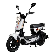 Moto Eletrica Tailg GX30G 1000W Black 48V24AM Litio