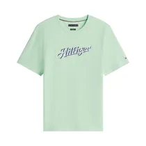 Camiseta Tommy Hilfiger MW0MW38642 LXY Masculino