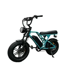 Bike Blulory G60 Mini Blue 1000W
