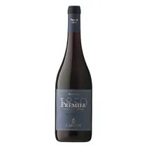 Vinho Carmen Reserva Premier Pinot Noir 750ML - 7804335002653