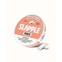 Chewing Gum Slapple Peach 2MG/PCS 40PCS
