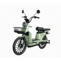 Moto Eletrica Tailg JF35Z 1000W 60V/20AH L. Acid - Green