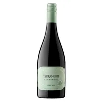 Vinho Terranoble Algarrobo Gran Reserva Pinot Noir 750ML