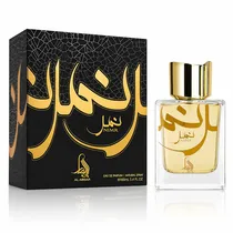Perfume Masculino Al Absar Our Nimr Edp 100ML