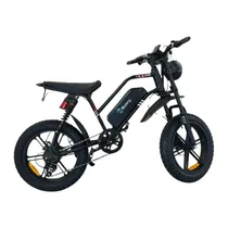 Bicicleta Electric Assist Bicycle G80 Black