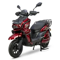 Moto Eletrica Smart Wheel SW Tank Red 1000W 60V30AH BT