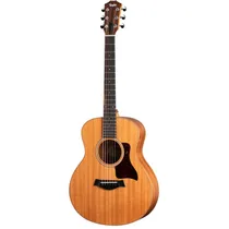 Taylor Gsmini-Ersb