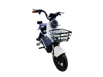 Moto Bike Eletrica Ecoxtreme Rider B3 1000W 32KM Branco