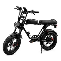 Bicicleta Elétrica Bluhan Ebike M2