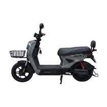 Mini Moto Elétrica Foston FS-X13 DX Gris