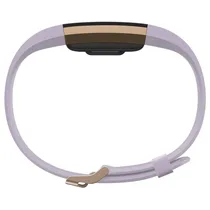 Fitbit Charge 2 Pulseira Smart Large