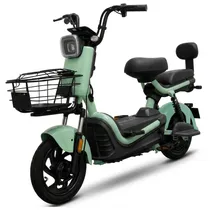 Moto Elétrica Tailg JK30 500W 48V12AH Verde - Autonomia 50KM No Paraguai