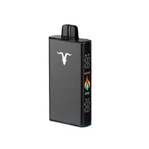 Ignite V250 Black Icy Mint