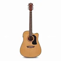 Washburn AD5 Ce N