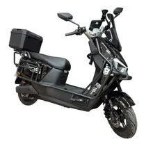 Moto Eléctrica E9 1000W