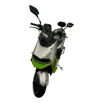 Moto Eletrica Tailg T73 1000W Gray Green BT
