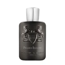 Perfume de Marly Pegasus Exclusif Masculino Eau de Parfum 125ML