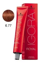 Tintura para Cabello Schwarzkopf Igora Royal 6-77 60G + Loción 60ML 538670*