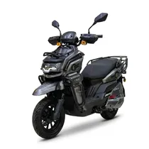Moto Eletrica SW Tank Gray 1000W 60V30AH BT