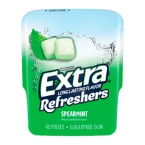 Chiclete Wrigleys Extra Refreshers Spearmint Pote 40 Unidades