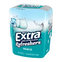 Chiclete Wrigleys Extra Refreshers Polar Ice Pote 40 Unidades