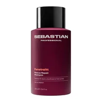 Shampoo Sebastian Penetrait 280ML