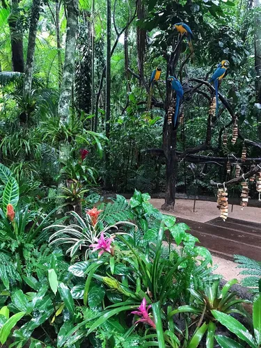 Parque das Aves
