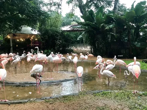 Parque das Aves