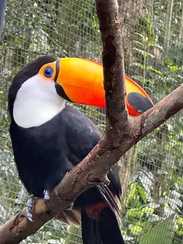 Parque das Aves