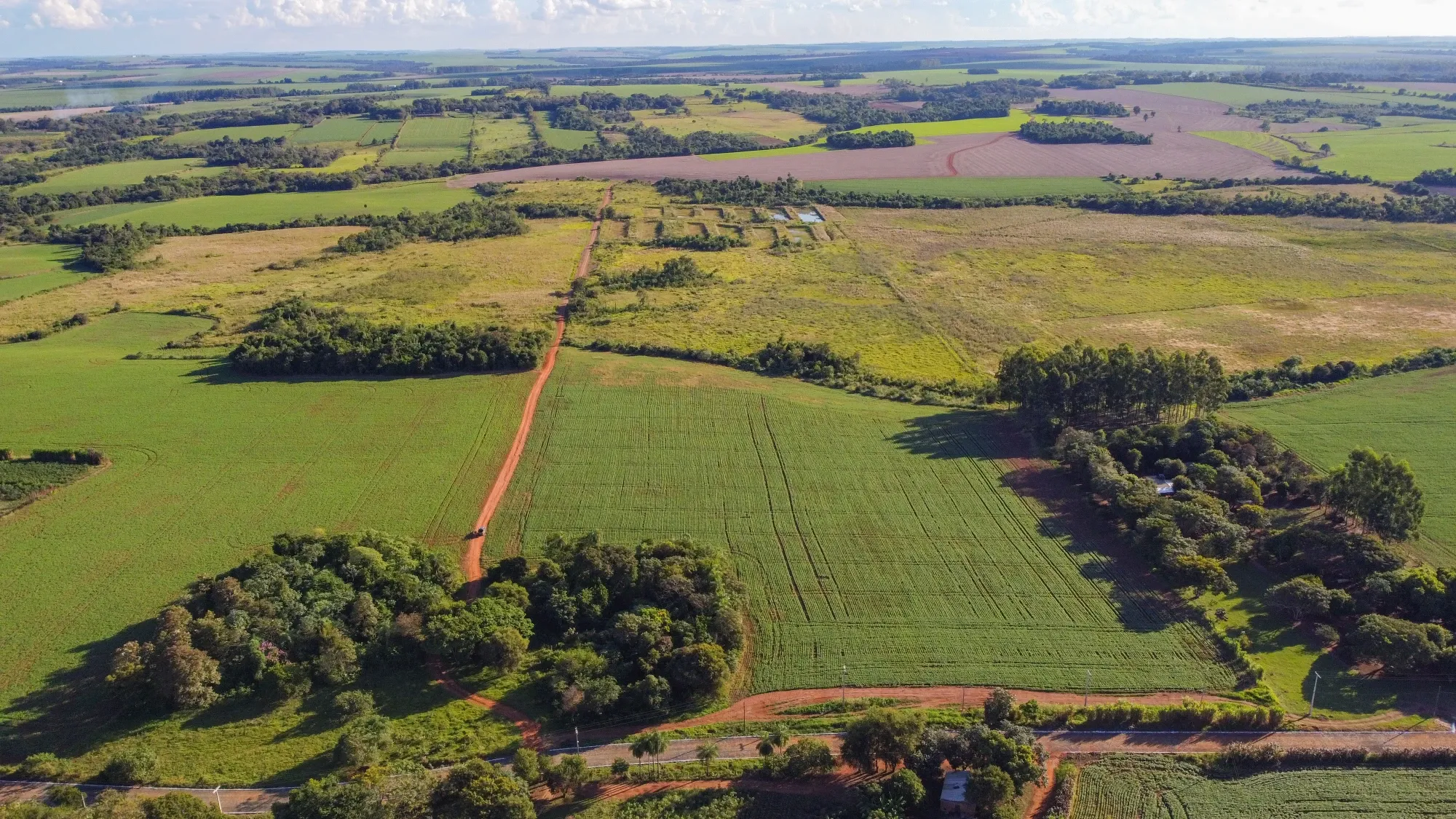 Terreno de 190.000 m² à venda em Los Cedrales